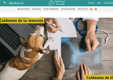 Veterinari Terraplè